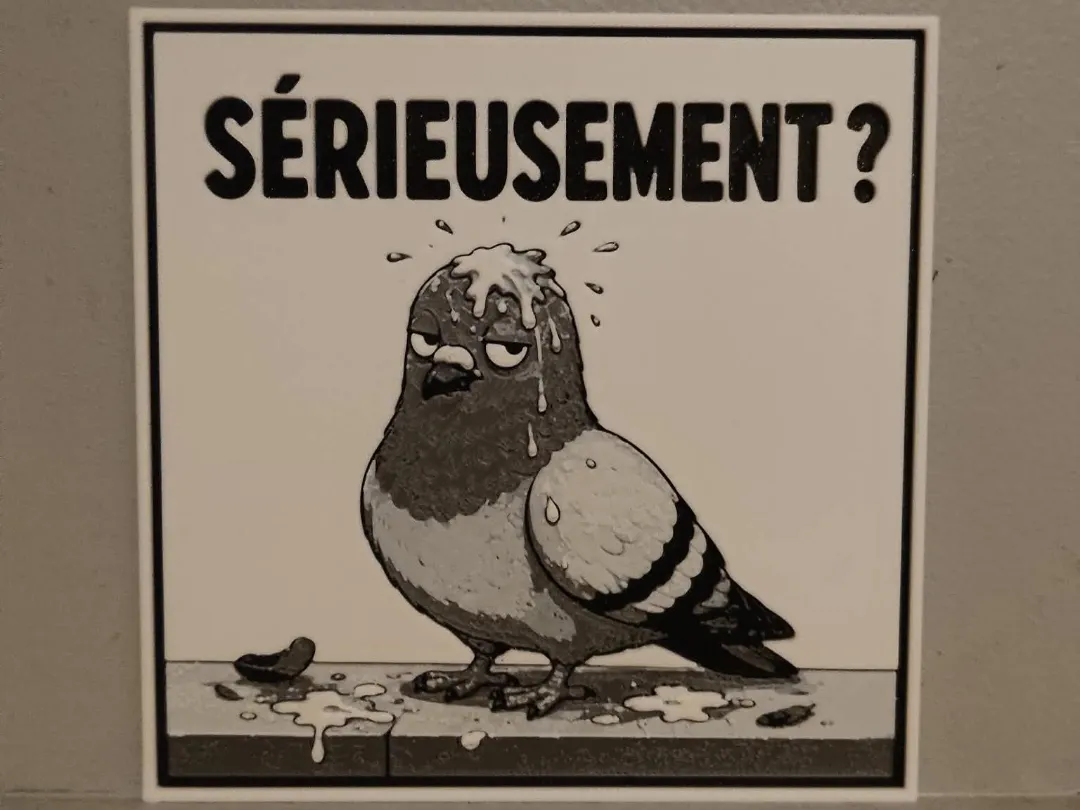 pigeon humoristique no ams obligatoire hueforge