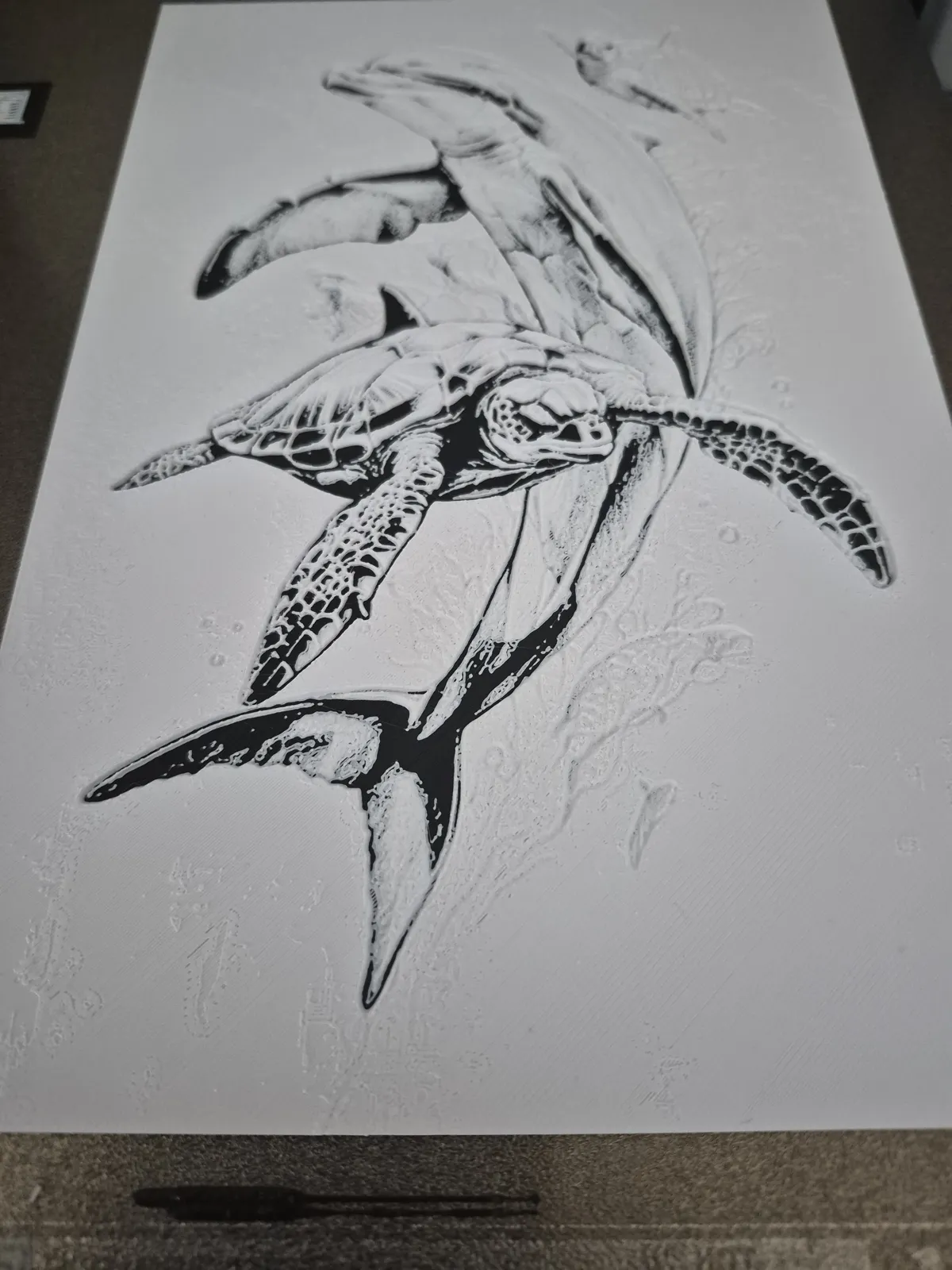 Dolphin & Turtle Realm