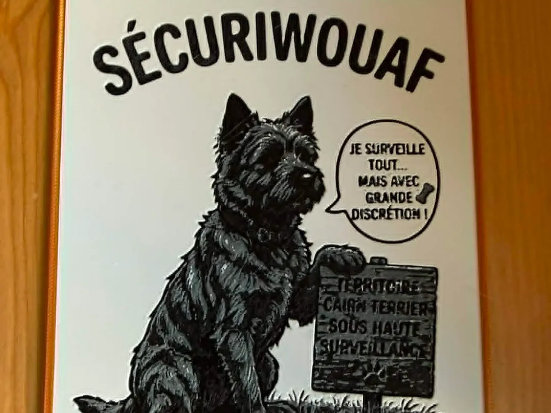 pas ams requis, cairn terrier securiwouaf