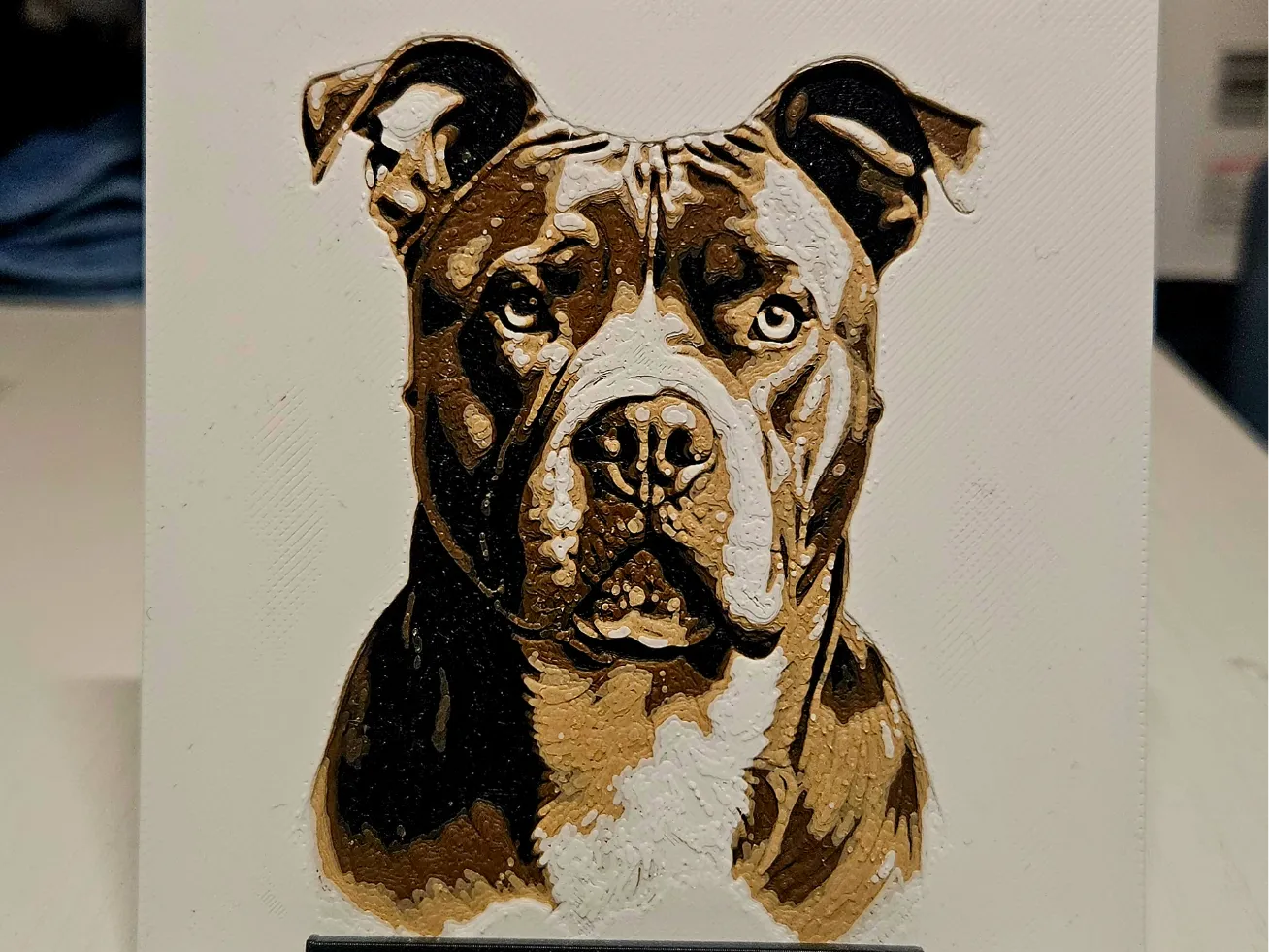 Stafford dog