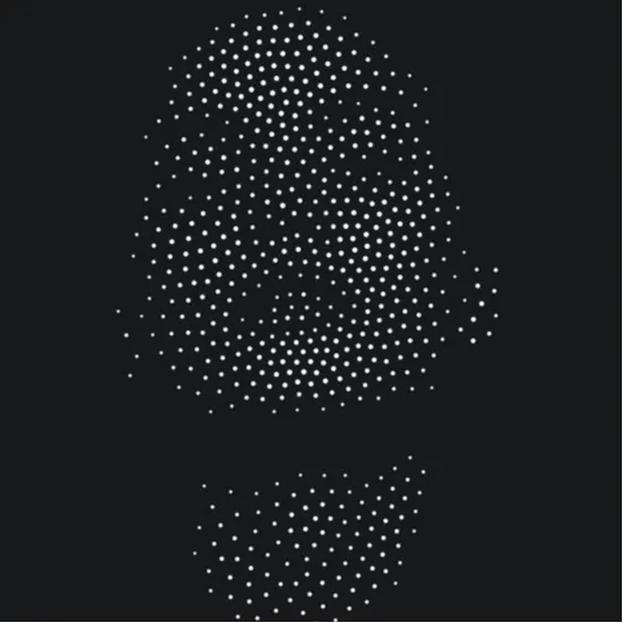 HUEFORGE OPTICAL EFFECT