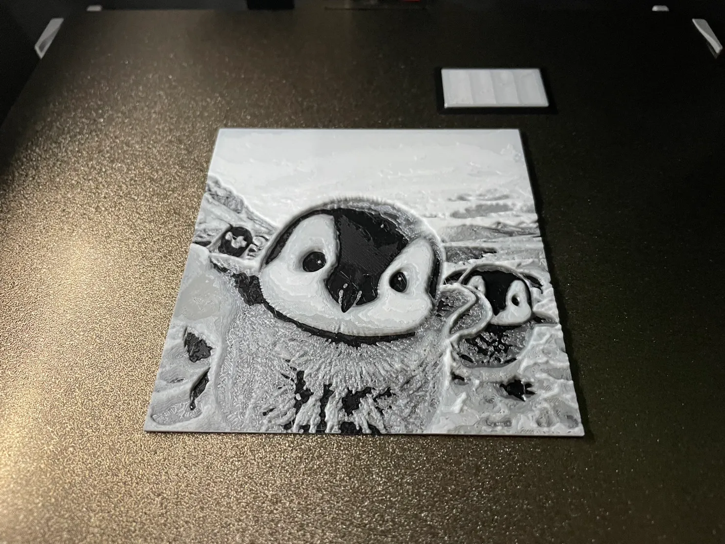 Little Penguin (HueForge)