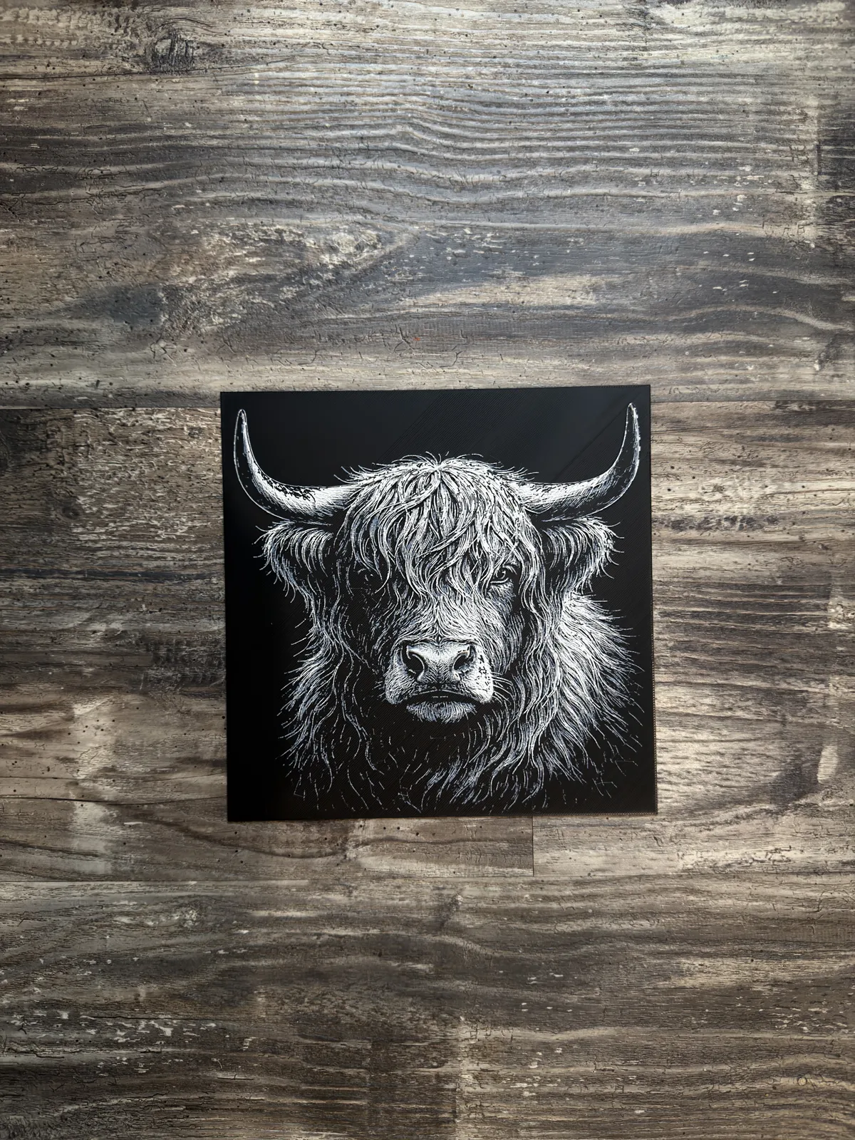 Highland Cow HueForge Wildlife Series