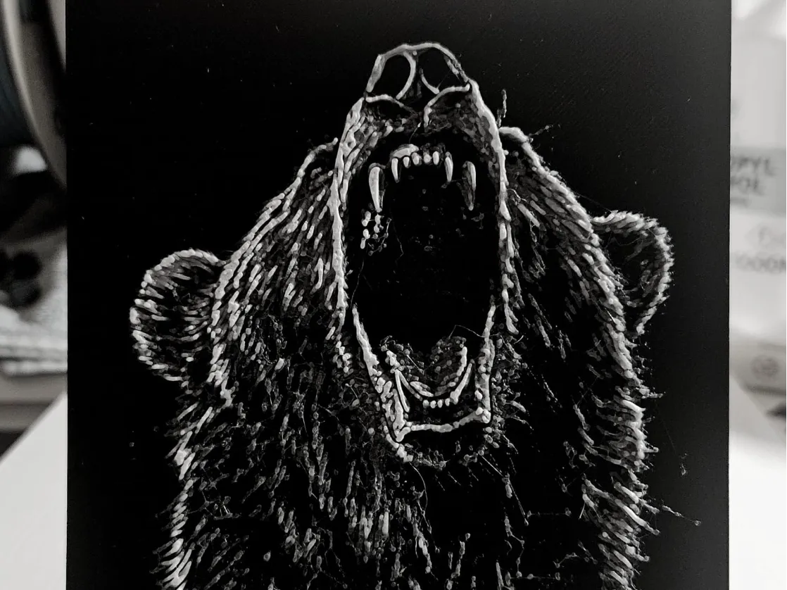 Bear