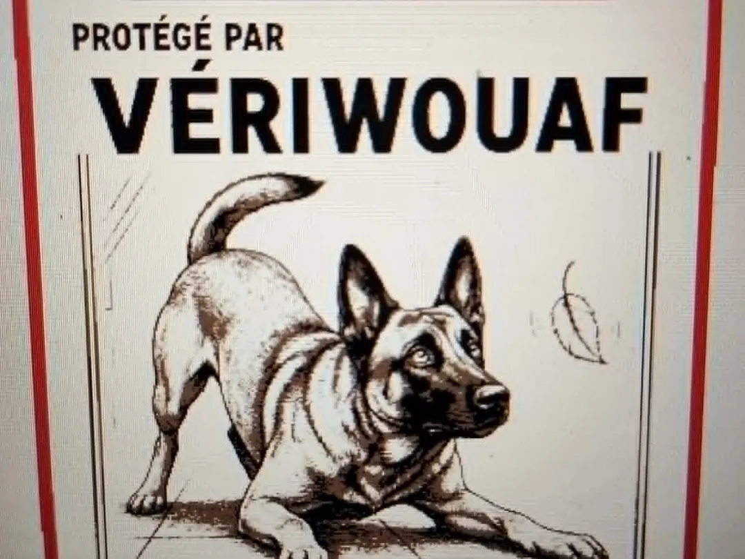 malinois pancarte humoristique