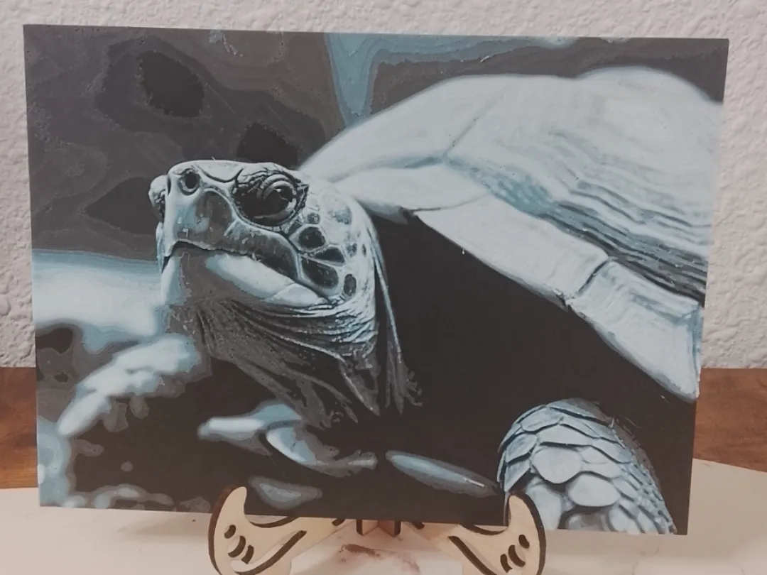 Tortuga