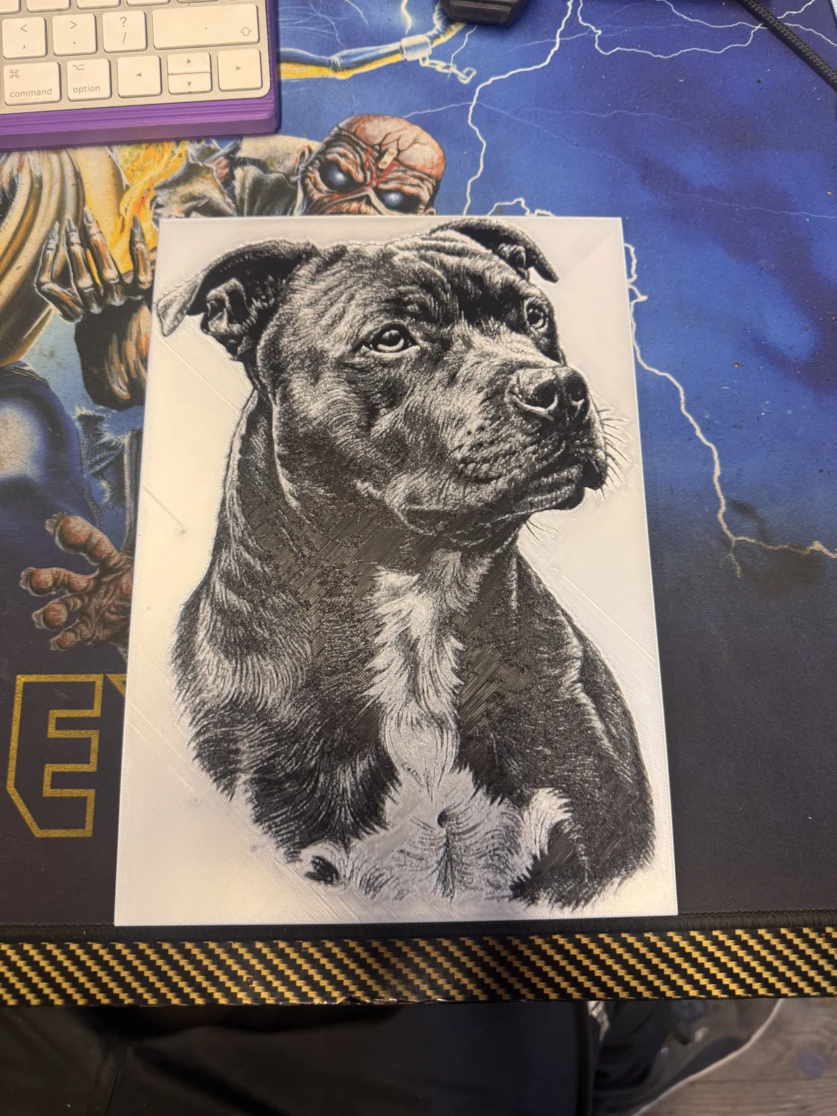 staffy hue forge