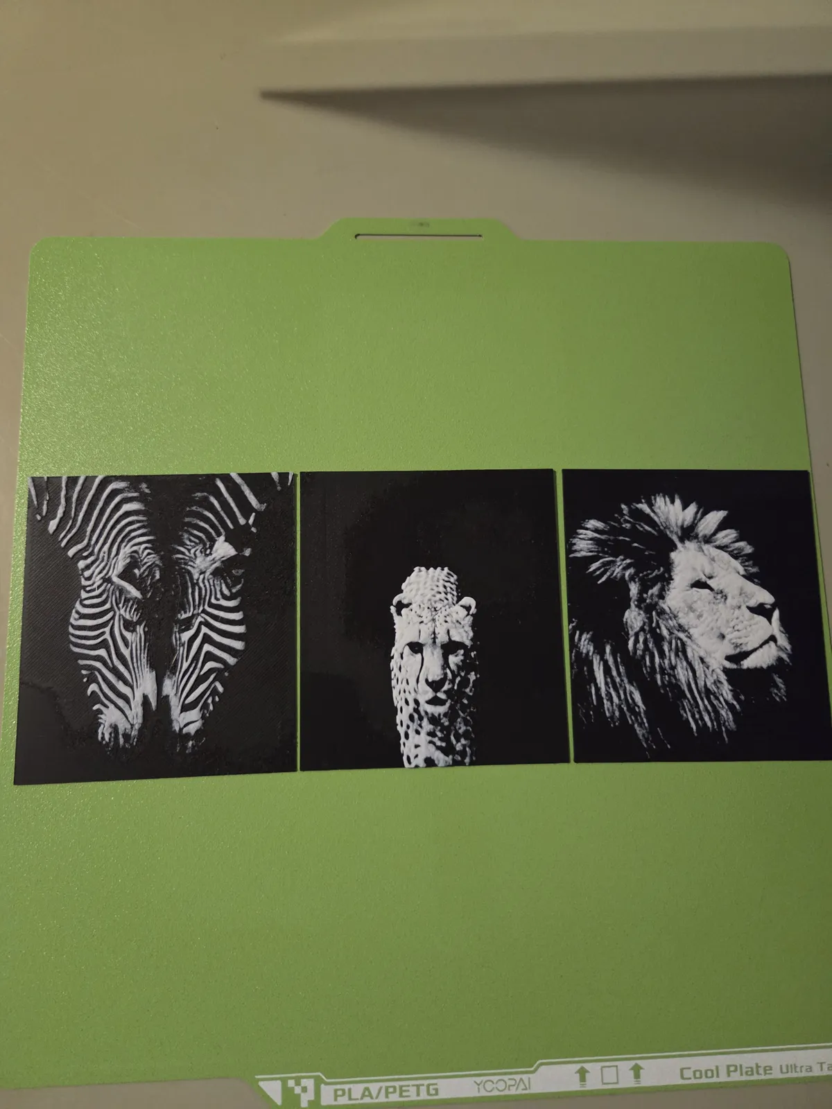 Zebra leopard Lion HueForge