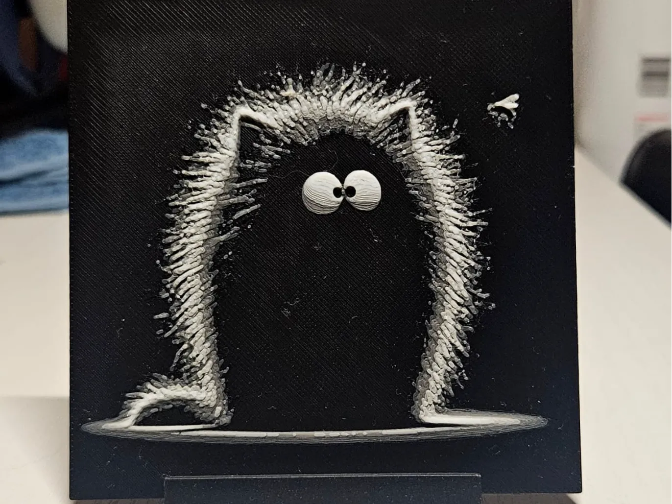 Fluffy Cat with fly II