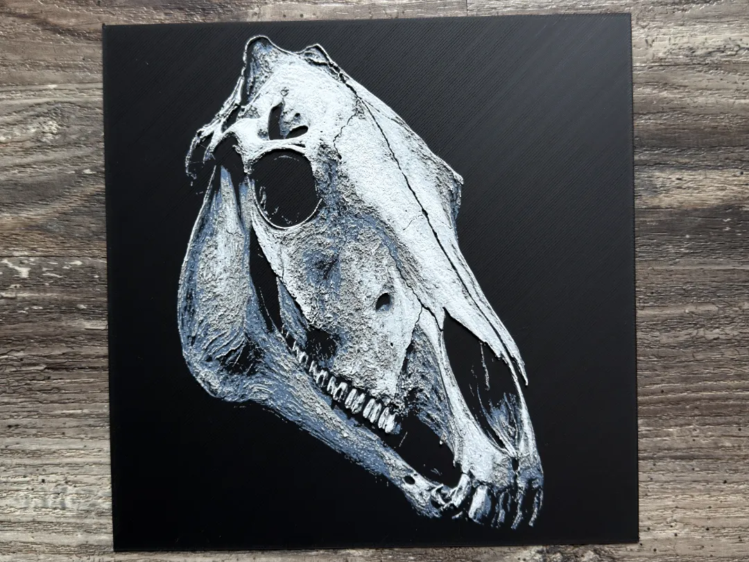 Horse Skull Series