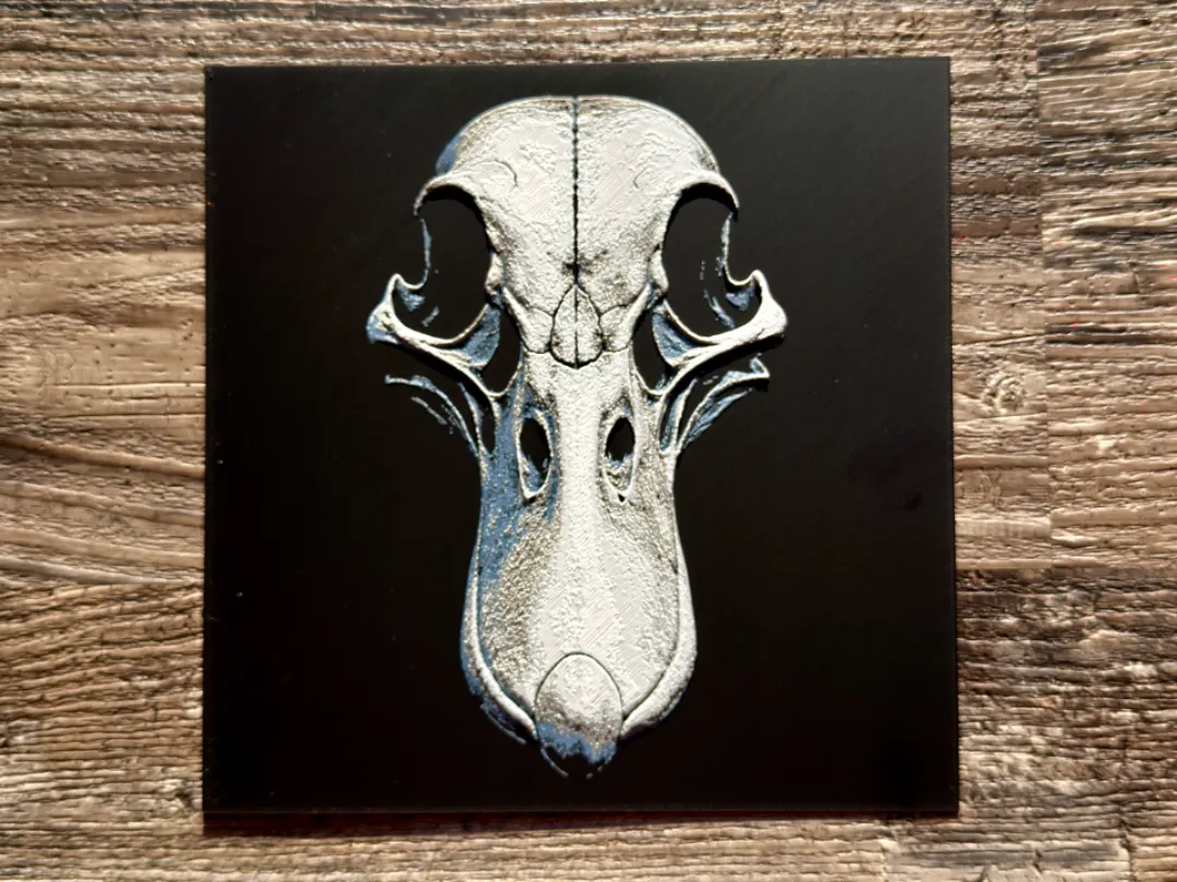 Duck SKull Series