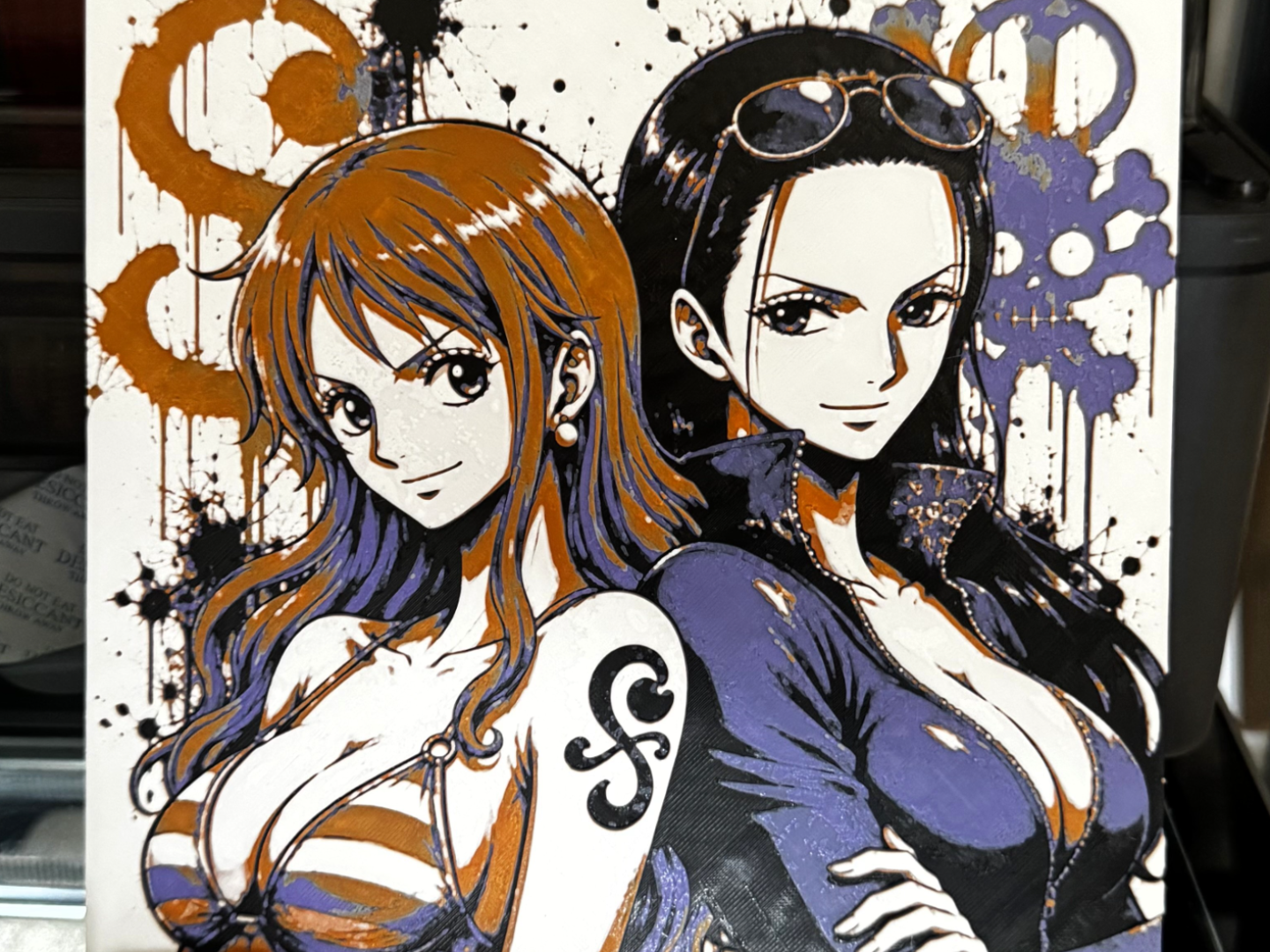 One Piece Nami & Robin Hueforge