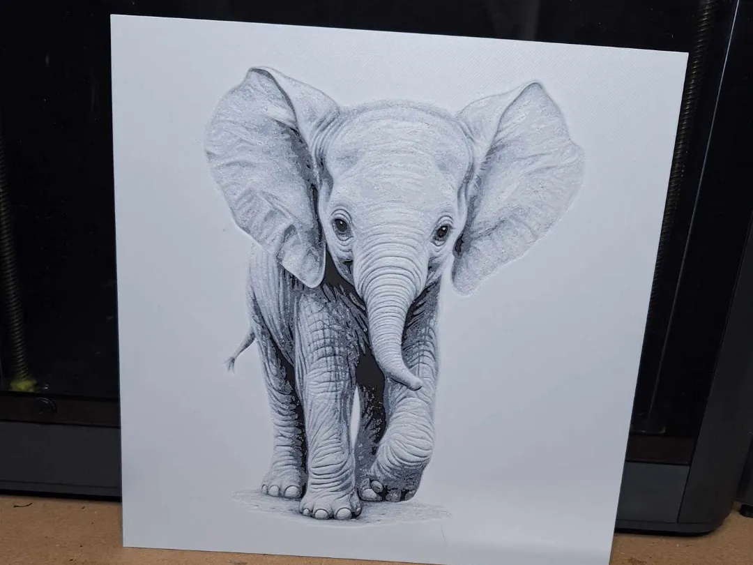 Beautiful black and white Elephant calf - hueforge