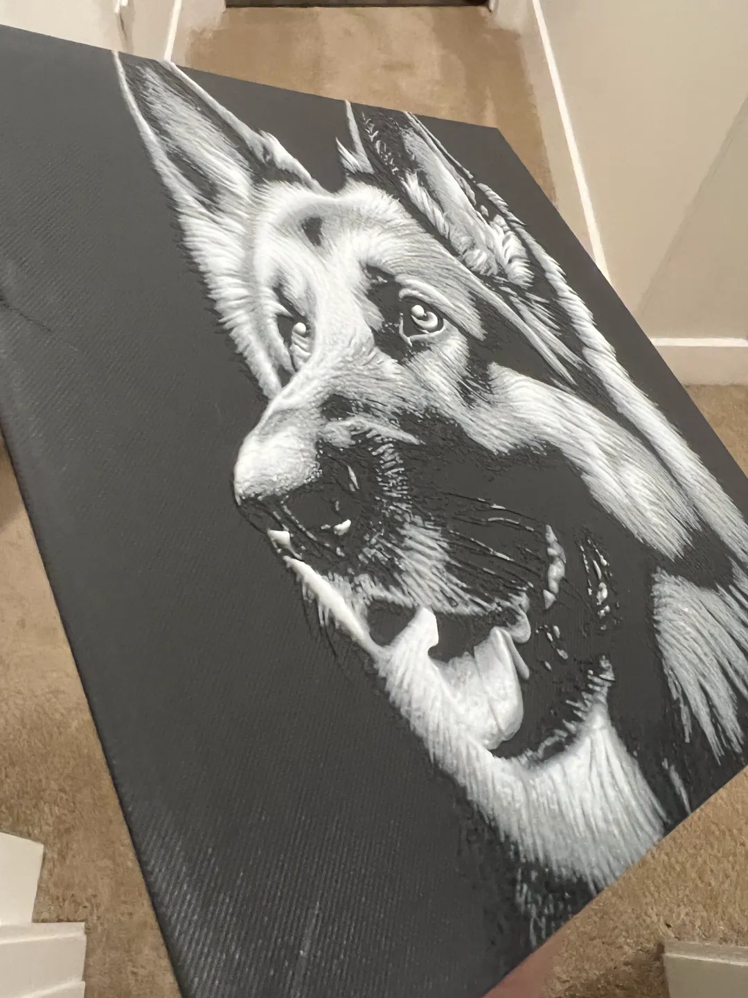 German Shepherd