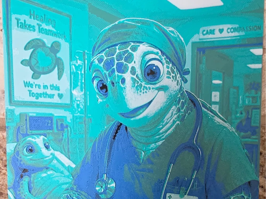 Turtle Doctor | Caring Hands, Healing Hearts