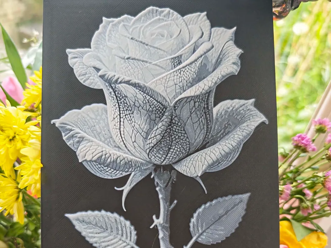white rose