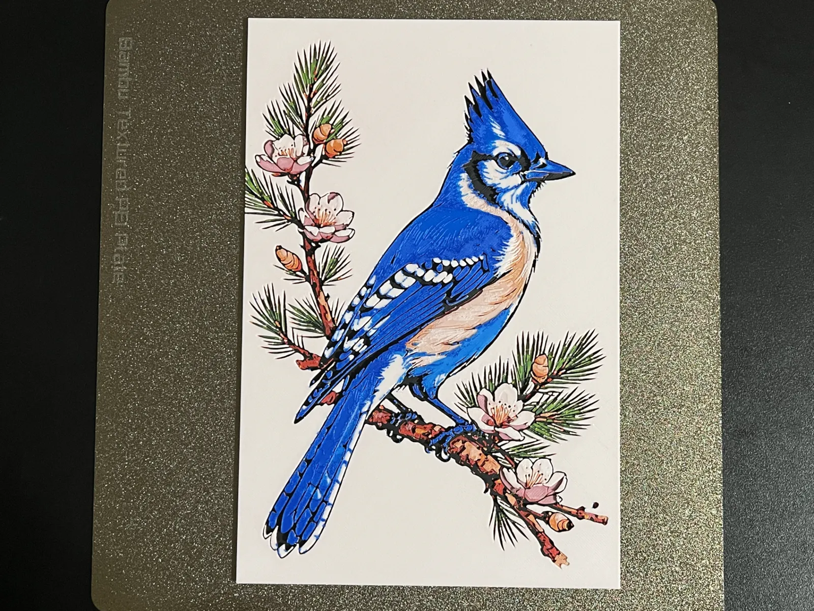 Blue Jay on Blooming Tree Hueforge