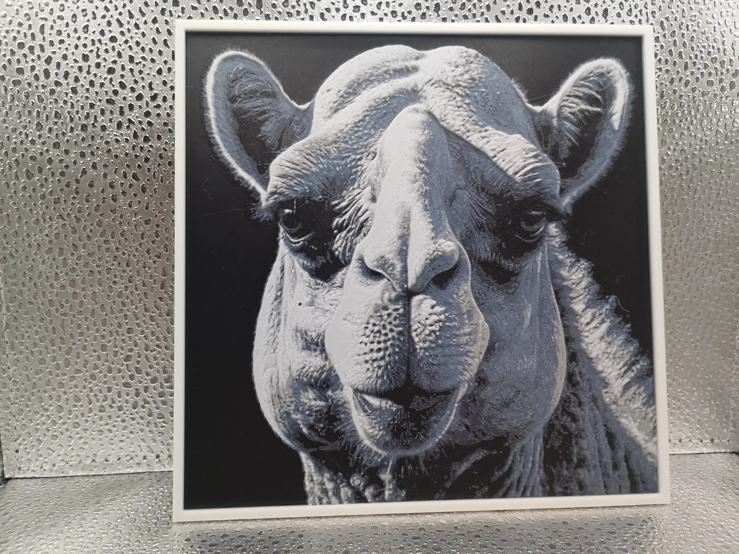Camel – Hueforge