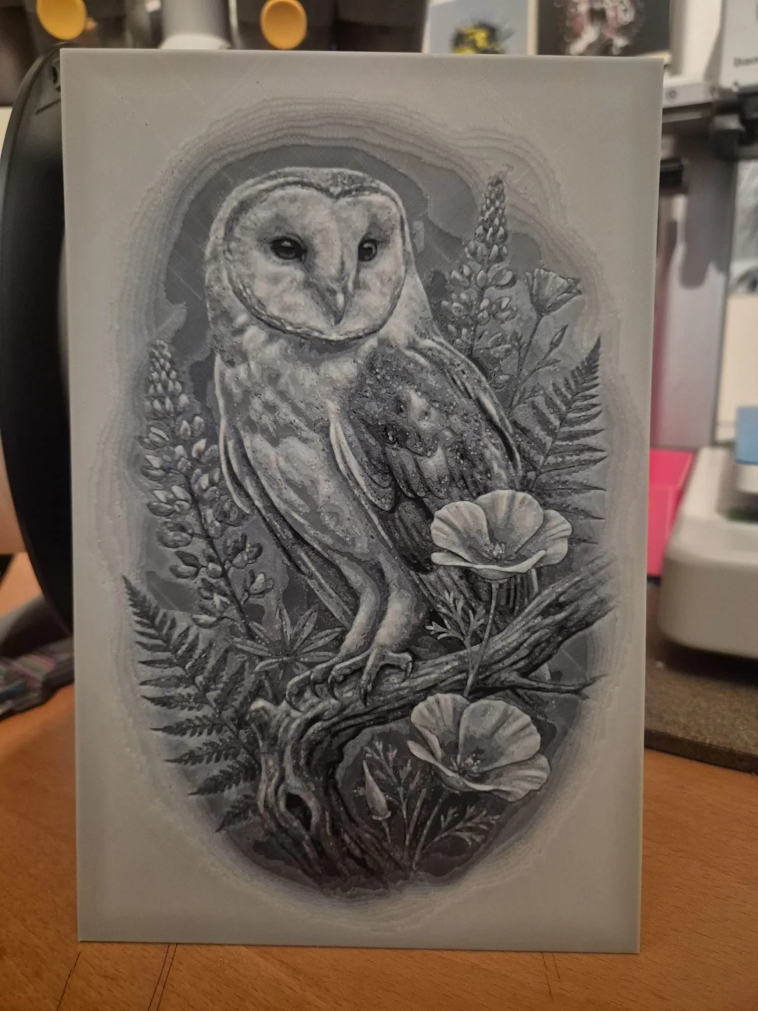 the owl