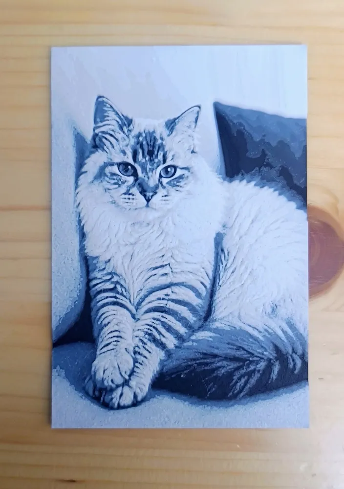 Cat - HueForge Filament Painting | Quadro Gatto 3D