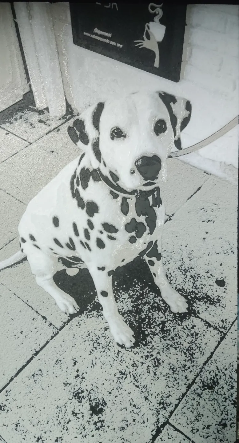 DALMATA HUEFORGE