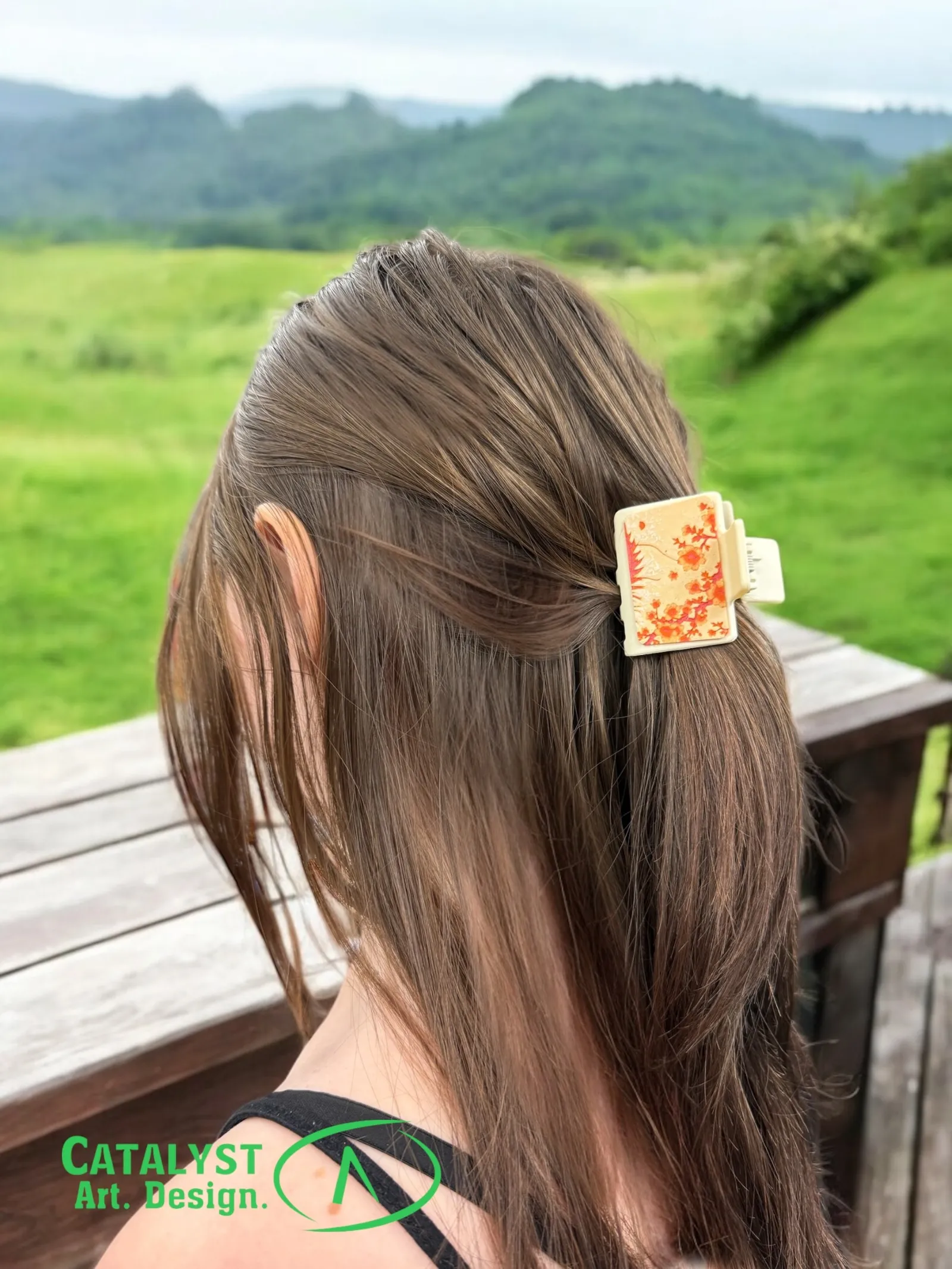 Dragon Hair Claw Clip Plates - Personal Use