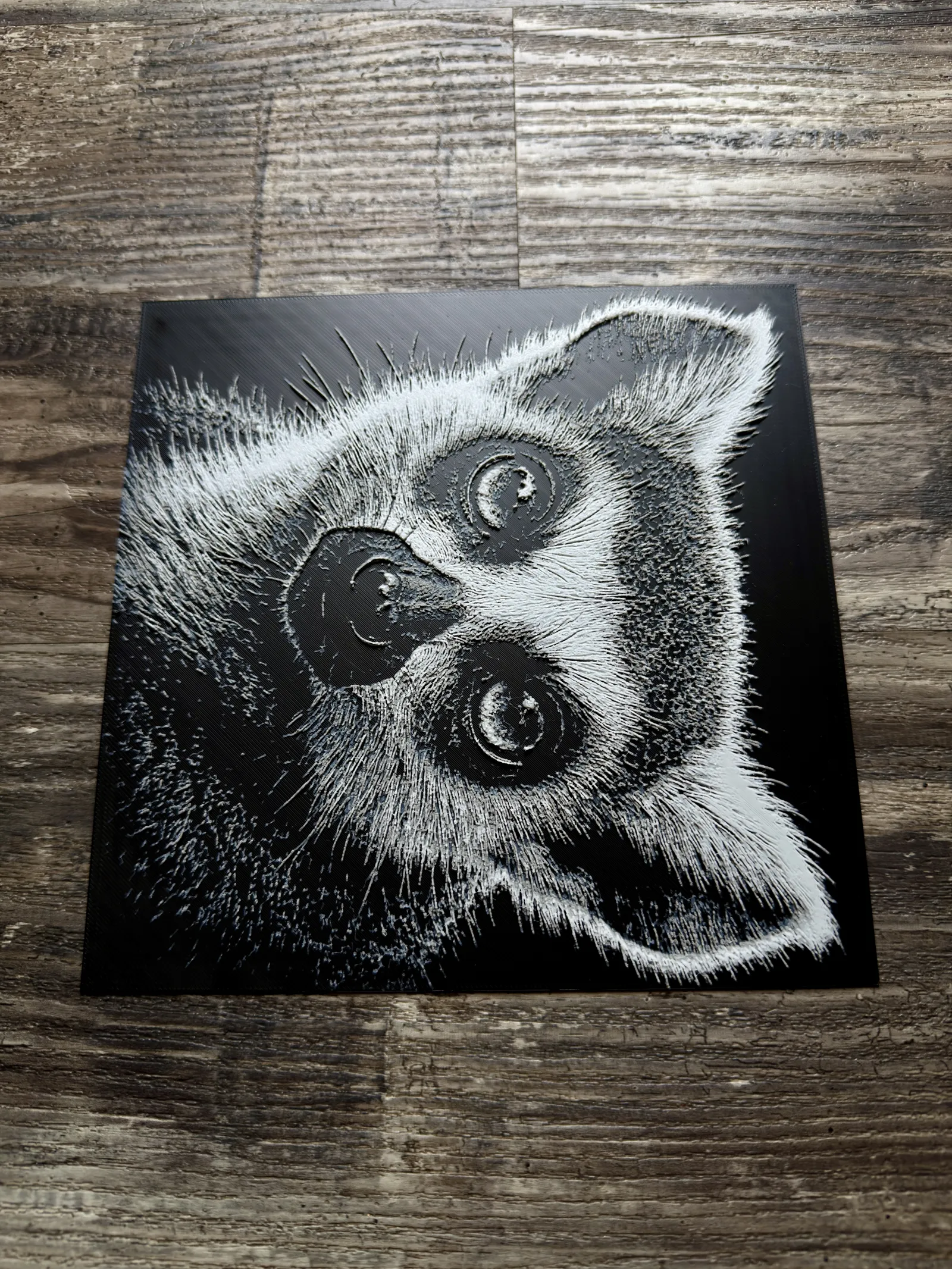 Ring-Tailed Lemur Wildlife Series