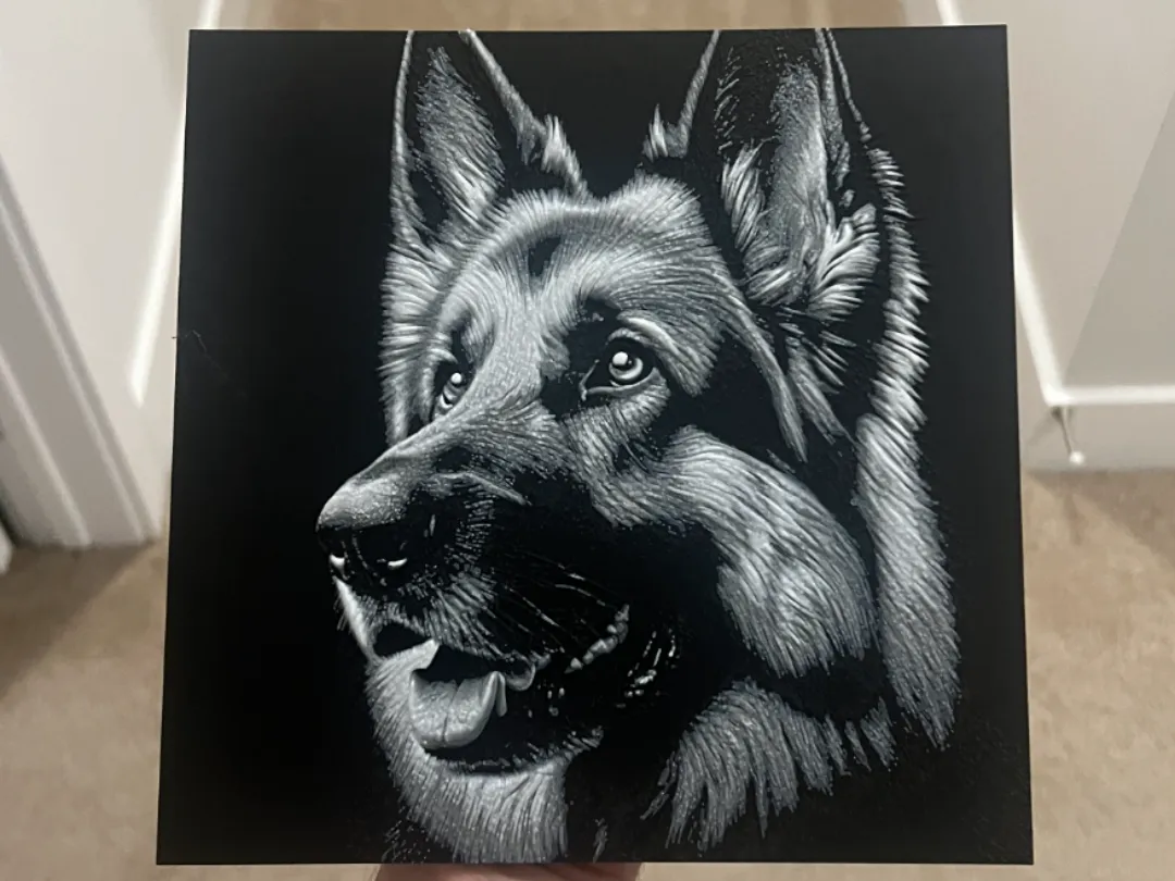 German Shepherd