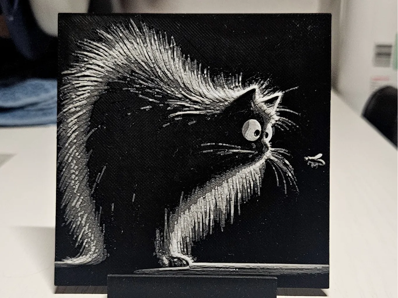 Another fluffy black cat