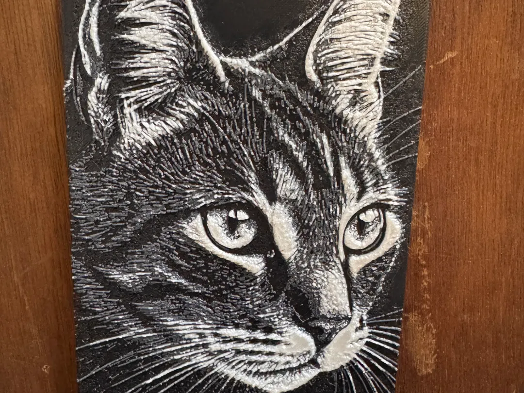 cat HueForge