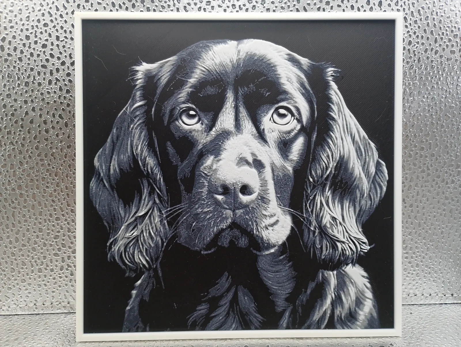 Boykin Spaniel - Hueforge