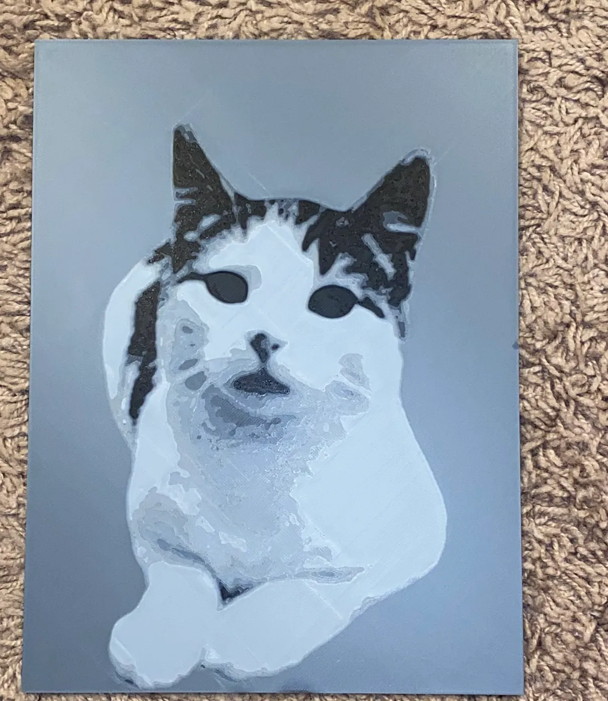 cat