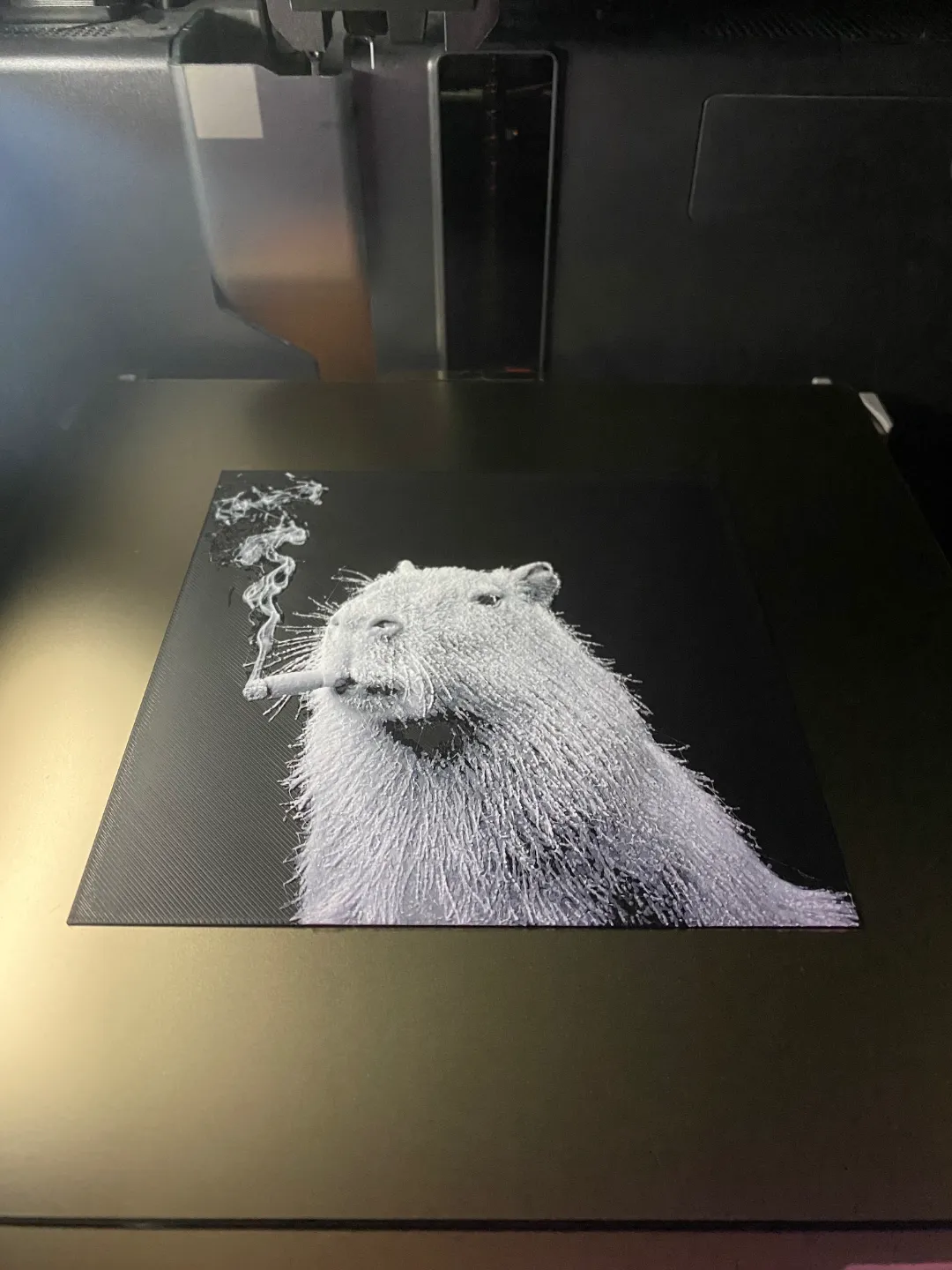 Capybara smoking a cigar Hueforge