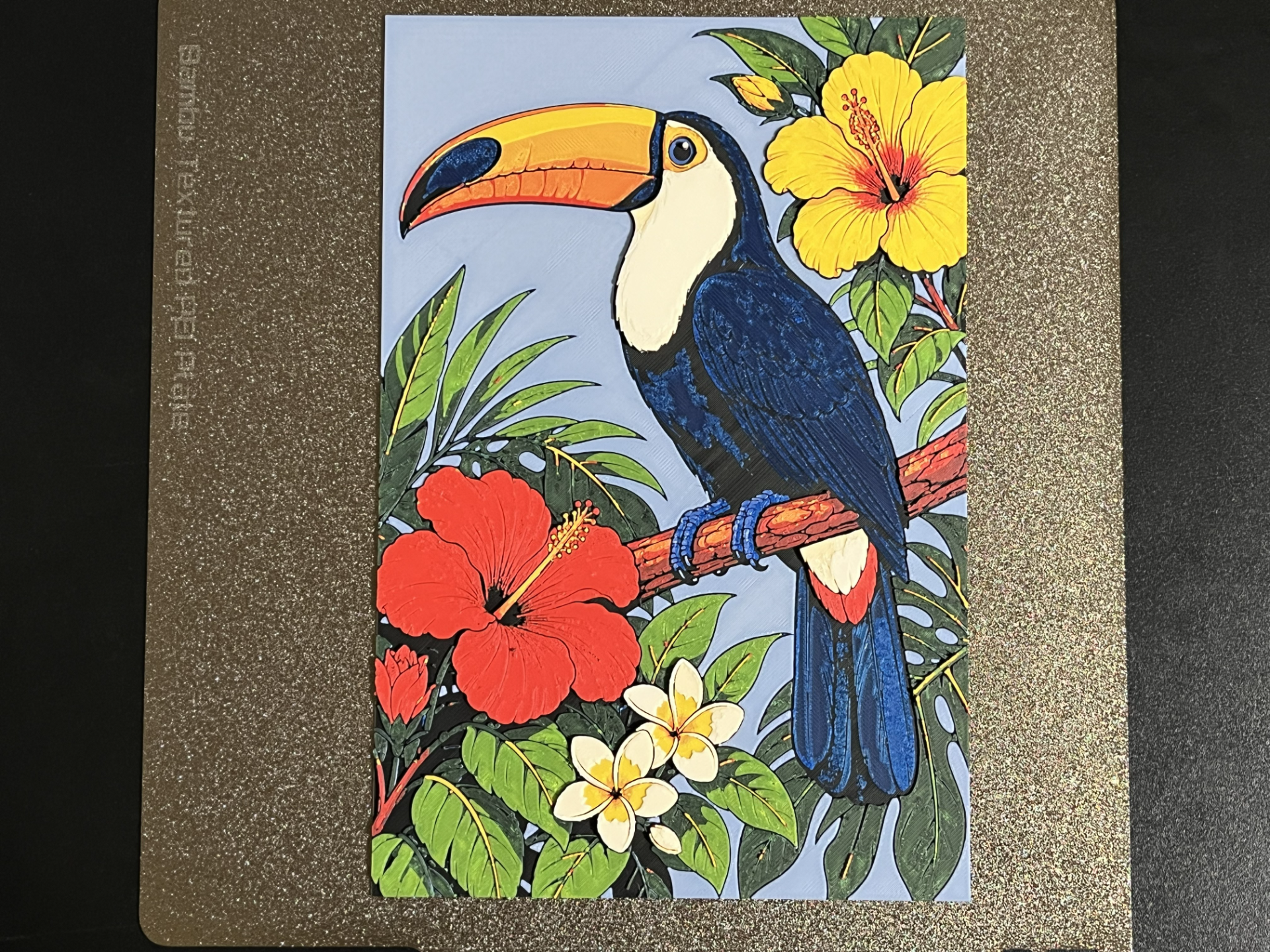 Toucan Bird Hueforge