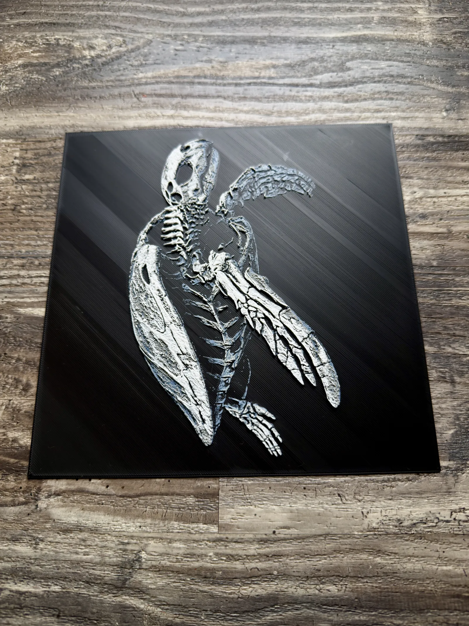 Sea Turtle Skeleton