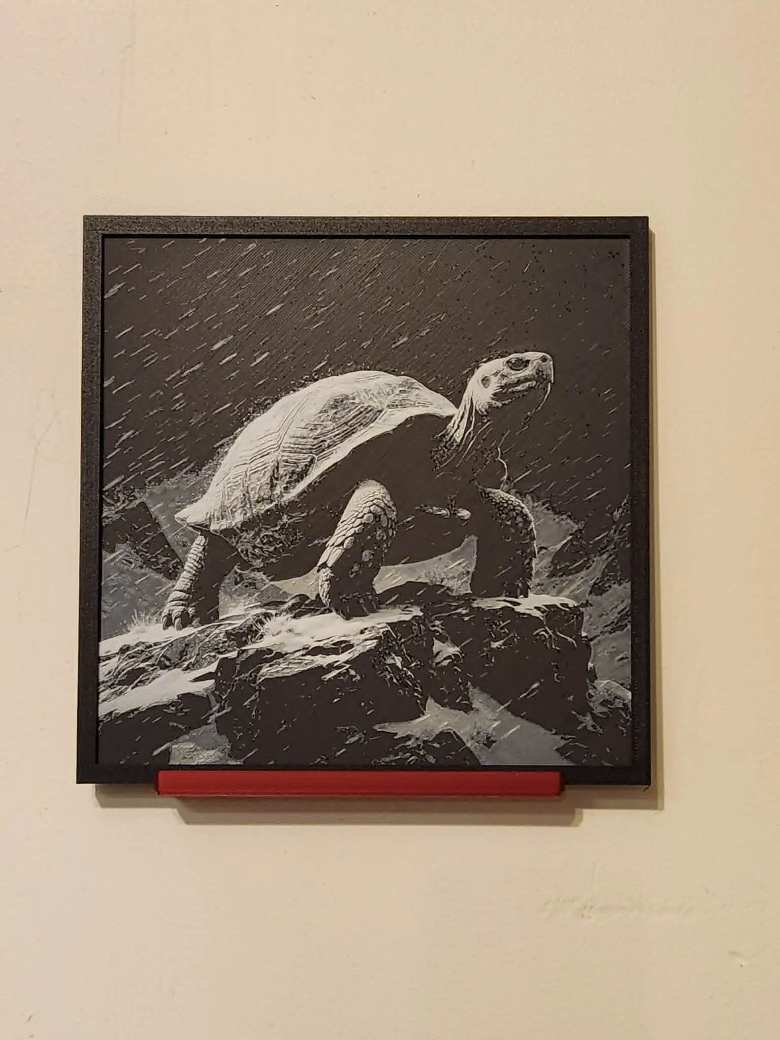 Rain Tortoise HueForge