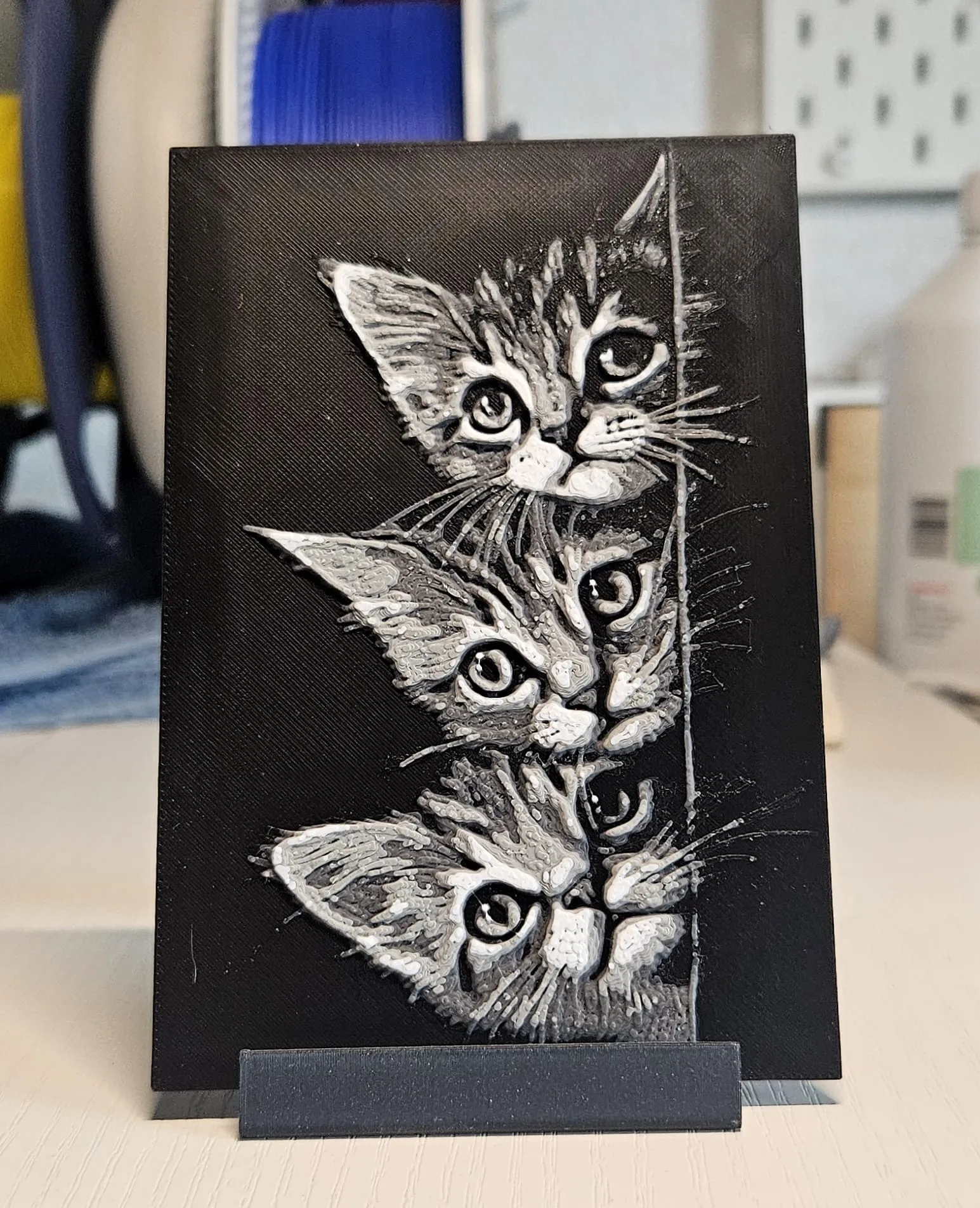 Cats on a row