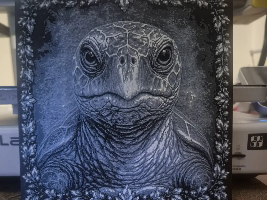 turtle picture hurforge