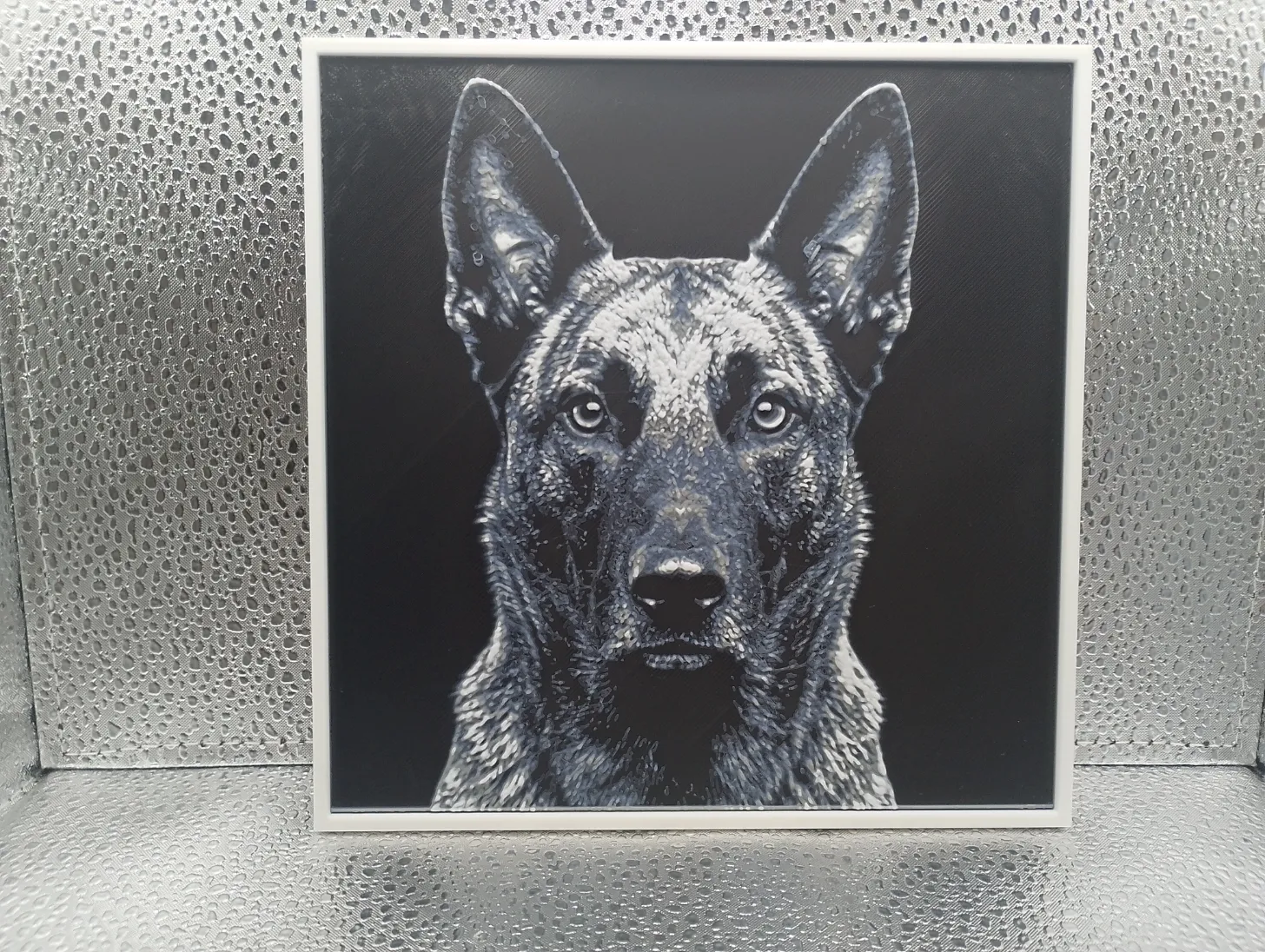Dutch Shepherd - Hueforge
