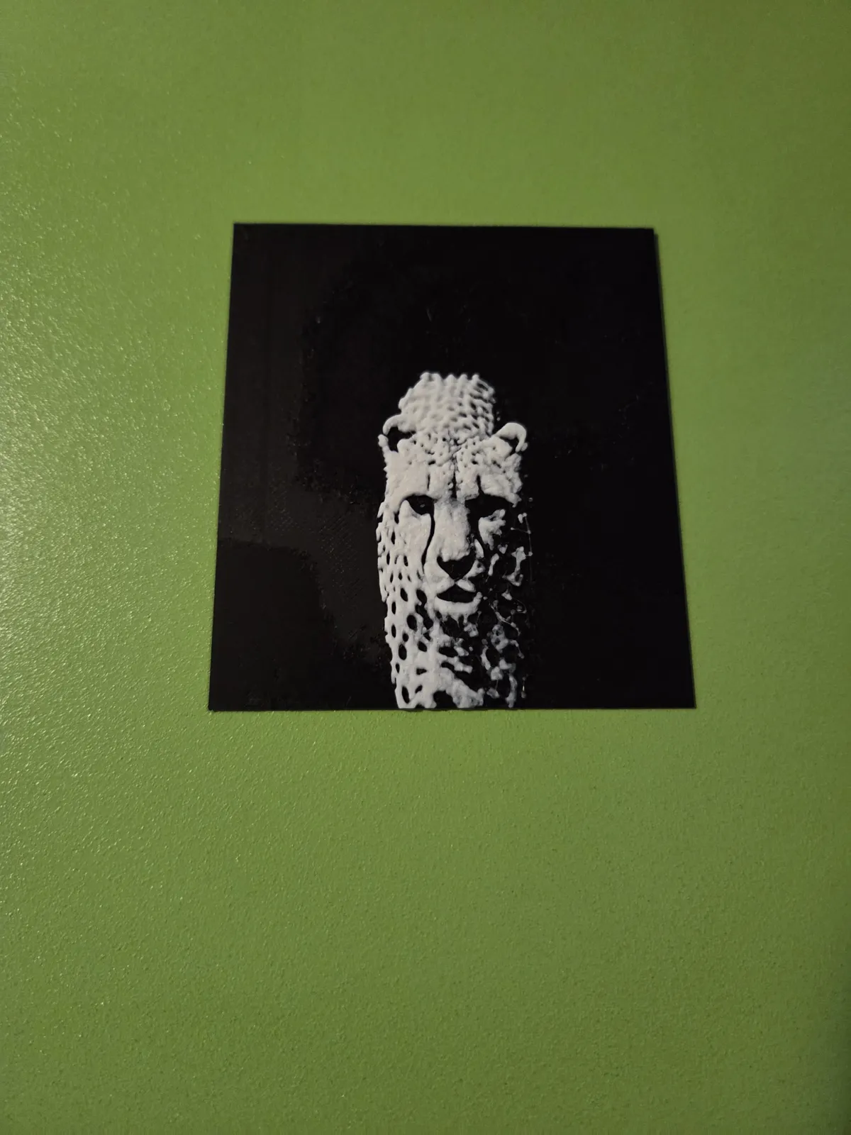 Zebra leopard Lion HueForge