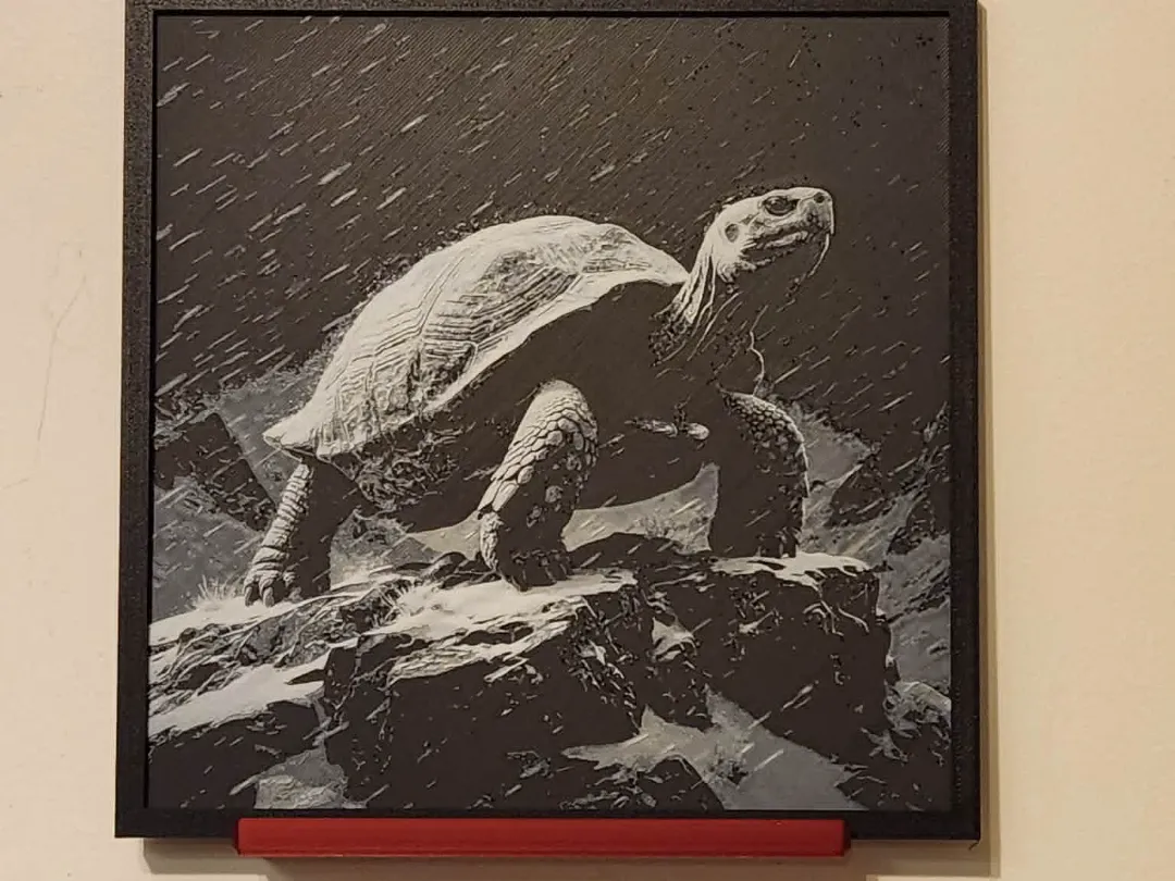 Rain Tortoise HueForge