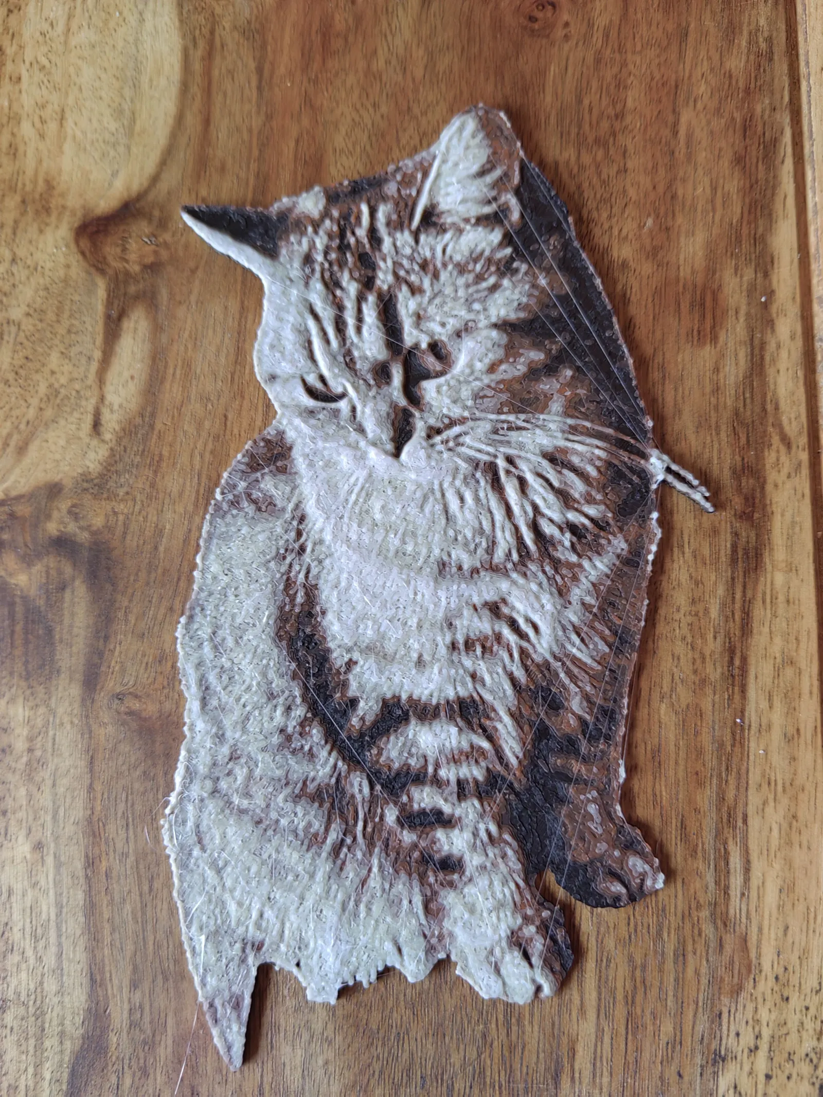 Katze Britisch Kurzhaar Hueforge