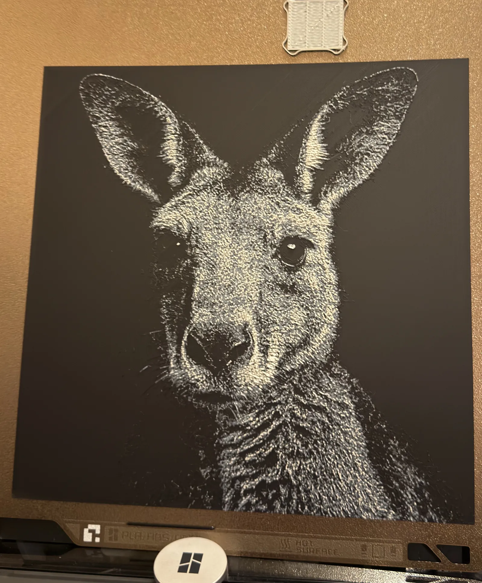 Hueforge Kangaroo