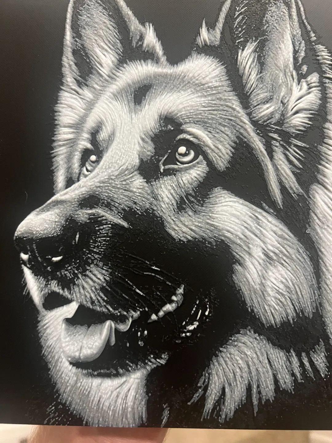 German Shepherd