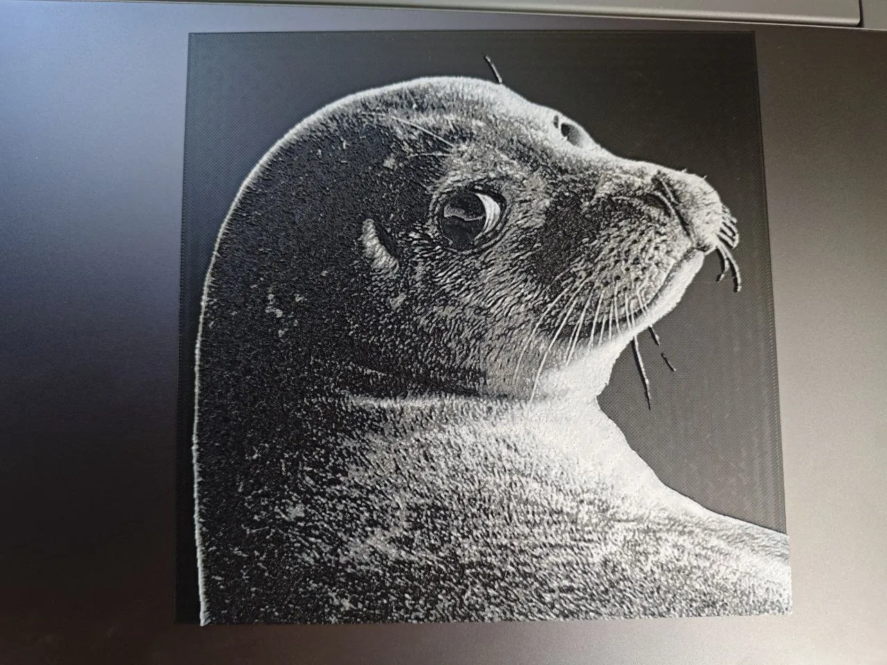 Seal Hueforge
