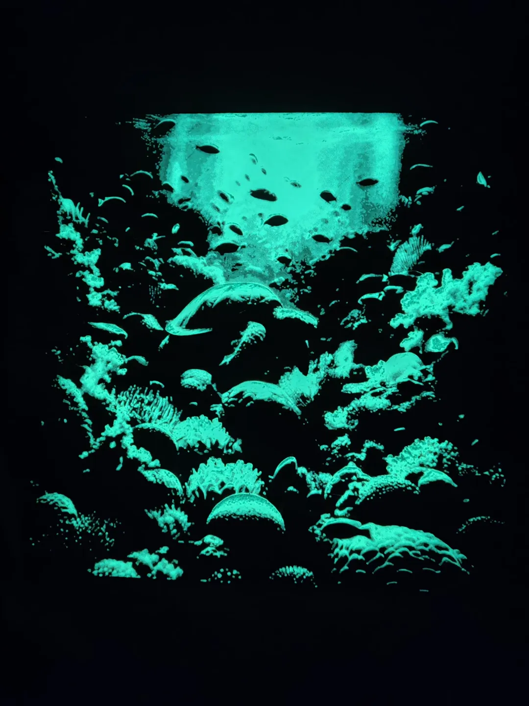 Turtle in sea - Hueforge - Glow in the dark