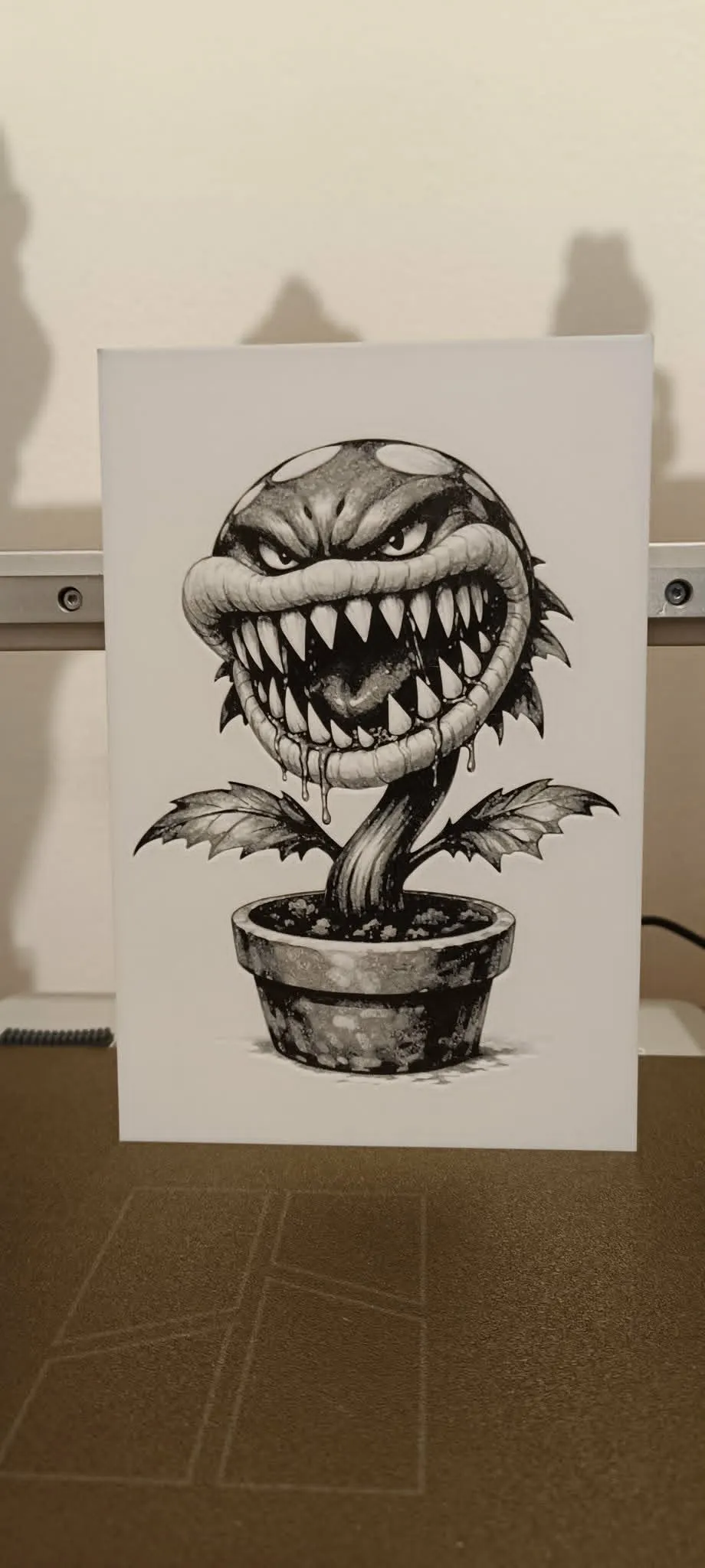 plante carnivore