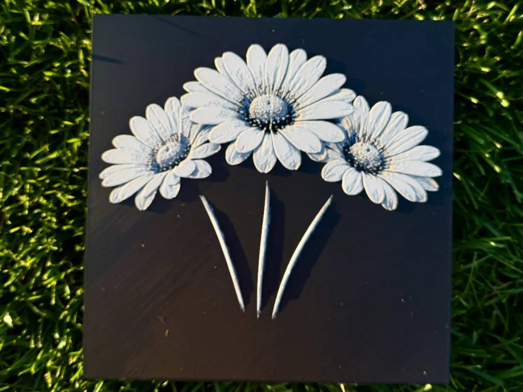 Daisy Portrait Flower Series