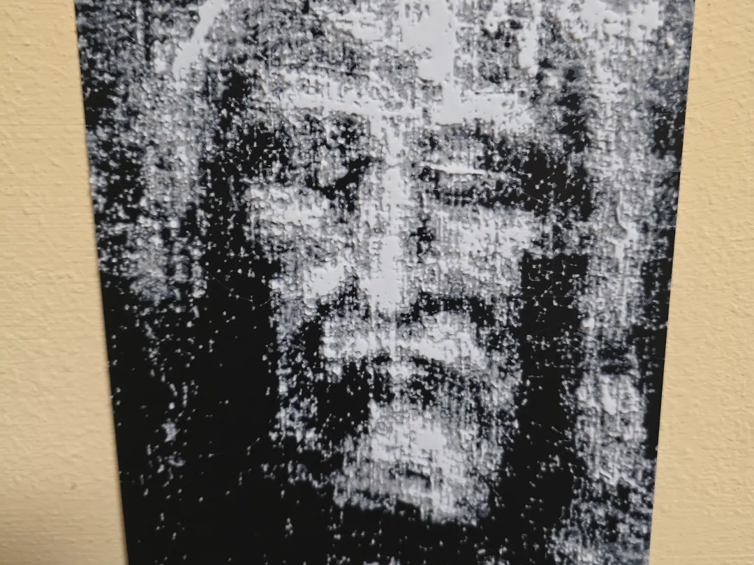 Il volto della Sacra Sindone