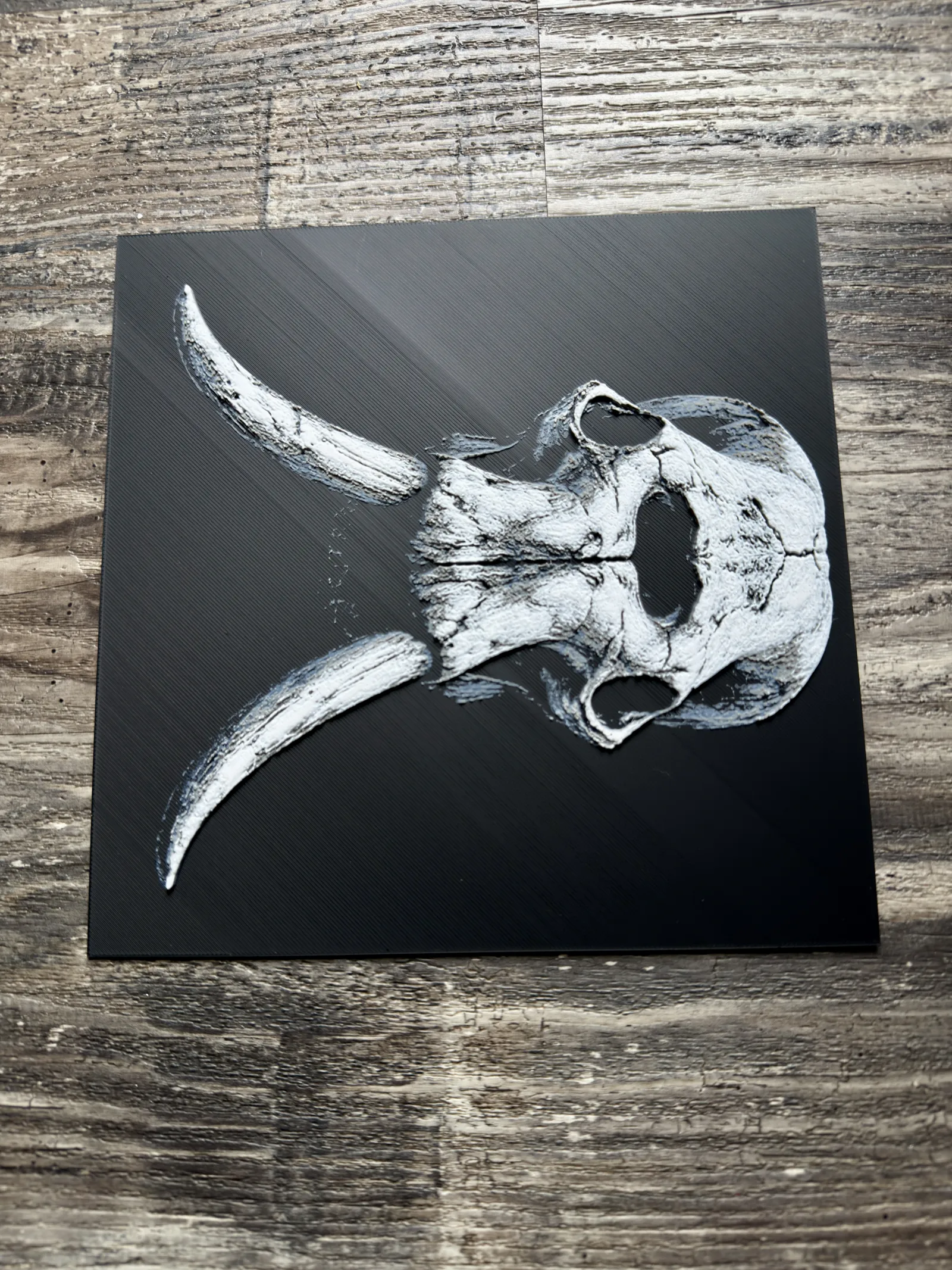 Elephant Skull Series